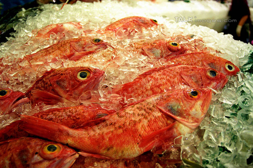 无人,横图,俯视,室外,特写,白天,购物,消费,一堆,许多,堆叠,堆积,鱼,冰,冰块,集市,市场,很多,冷冻,鱼类,海洋生物,寒冷,金融,冷藏,堆,死亡,冰冷,水生动物,水生物,选购,贸易,海底动物,保鲜,殒命,灭亡,半身,彩图,高角度拍摄,鱼市,shzwj1