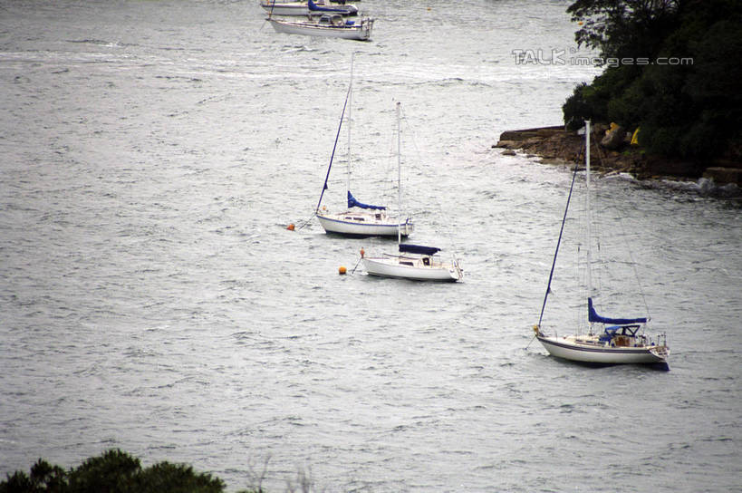 无人,码头,横图,俯视,室外,白天,海浪,海洋,美景,植物,港口,船,澳大利亚,景观,浪花,游艇,树,树木,绿色,自然,海水,交通工具,景色,生长,成长,自然风光,载具,大洋洲,悉尼,澳洲,海景,游艇码头,南方大陆,首府,澳大利亚联邦,雪梨,新州,新南威尔士,新南威尔士州,大海,风浪,海,海水的波动,近岸浪,涌浪,彩图,高角度拍摄,摆渡口,埠头,渡口,渡头,港湾,海港,口岸,悉尼野生动物园,shzwj1