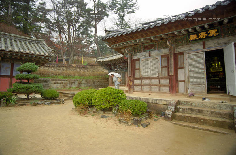 无人,寺庙,横图,室外,白天,仰视,旅游,度假,名胜古迹,植物,标志建筑,地标,建筑,雕塑,韩国,亚洲,节日,遗迹,艺术,装饰,标志,雕刻,牌匾,文字,字符,燃烧,古迹,文化,文物,娱乐,标识,建设,古建筑,树,树木,绿色,自然,香火,工艺品,庙宇,祈祷,享受,休闲,健康,汉字,旅游胜地,放松,许愿,宗教,信仰,生长,成长,纪念,祈求,美术,中文,主题,陈列,古文明,东亚,大邱,海印寺,功能,美学,国文,华文,大韩民国,广域市,大丘,大邱市,大邱广域市,平安,彩图,低角度拍摄,庙,寺,shzwj1