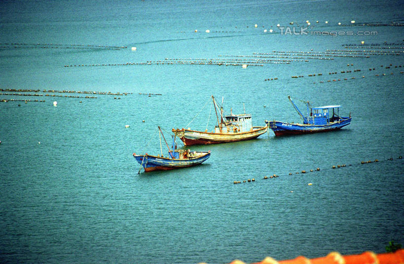 无人,横图,俯视,室外,白天,旅游,度假,海浪,海洋,美景,沙滩,船,中国,亚洲,阴影,光线,沙子,影子,海岸,景观,浪花,木船,沙地,娱乐,山东,烟台,阳光,自然,海水,交通工具,享受,休闲,景色,放松,舟,自然风光,载具,海景,东亚,山东省,长岛,中华人民共和国,华东地区,鲁,烟台市,大海,风浪,海,海水的波动,海滩,近岸浪,涌浪,彩图,高角度拍摄,沙门岛,庙岛群岛,长山列岛,长岛县,shzwj1