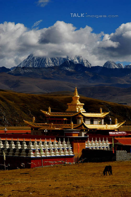 无人,寺庙,竖图,室外,白天,正面,旅游,度假,名胜古迹,森林,山,树林,雪,雪山,植物,大雪,标志建筑,地标,建筑,中国,亚洲,阴影,节日,遗迹,光线,影子,冰,积雪,山峰,雪景,云,云朵,冬季,冬天,山峦,云彩,古迹,文化,文物,娱乐,建设,古建筑,树,树木,蓝色,绿色,白云,蓝天,天空,阳光,自然,庙宇,天,祈祷,享受,休闲,健康,旅游胜地,放松,寒冷,许愿,宗教,佛教,信仰,四川省,生长,晴朗,成长,纪念,祈求,冰冷,古文明,东亚,四川,康定,甘孜藏族自治州,康定县,塔公寺,中华人民共和国,西南地区,严寒,川,甘孜,甘孜州,冰凉,酷寒,凛冽,凛凛,极冷,释教,平安,晴空,彩图,庙,寺,塔公镇,shzxz1