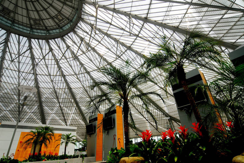 无人,火车站,横图,室内,白天,仰视,度假,美景,植物,窗户,城市风光,标志建筑,城市,地标,建筑,棕榈树,旗帜,叶子,上海,中国,亚洲,盛开,天窗,景观,建筑群,绿叶,花蕾,娱乐,旗子,建设,玻璃窗,花,花瓣,花朵,鲜花,树,树木,绿色,自然,花苞,花蕊,享受,休闲,嫩叶,景色,放松,生长,成长,申,东亚,棕榈叶,徐汇区,上海南站,上海市,中华人民共和国,沪,华东地区,旌旗,旗号,叶,叶片,棕树,棕榈,彩图,低角度拍摄,铁路车站,铁路站,shzxz1