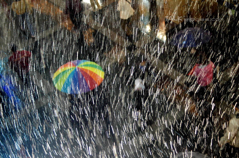 东方人,走,横图,俯视,彩色,室外,白天,雨,暴雨,大雨,亚洲,行人,服装,朦胧,模糊,伞,雨伞,遮阳伞,许多人,注视,休闲装,黄种人,阳伞,路人,衣服,观察,看,一群人,休闲,休闲服,服饰,观看,察看,太阳伞,关注,过客,男人,男性,年轻男性,年轻女性,女人,女性,亚洲人,步行,散步,走路,半身,彩图,高角度拍摄,强降水,强降雨,shzxz1