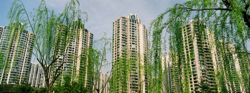 无人,高楼大厦,横图,室外,白天,仰视,度假,美景,植物,城市风光,城市,大厦,建筑,摩天大楼,柳树,叶子,上海,中国,亚洲,阴影,光线,影子,景观,绿叶,娱乐,建设,垂柳,树,树木,蓝色,绿色,蓝天,天空,阳光,自然,天,享受,休闲,嫩叶,景色,放松,生长,晴朗,成长,申,东亚,普陀区,中远两湾城,上海市,万里无云,中华人民共和国,沪,华东地区,倒挂柳,叶,叶片,晴空,晴空万里,垂枝柳,彩图,低角度拍摄,大楼,高层建筑,高楼,摩天楼,shzxz1