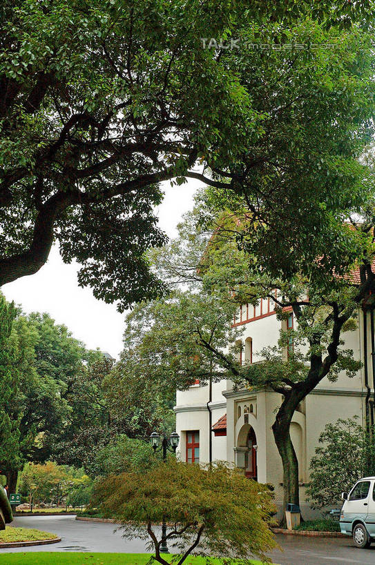 无人,家,竖图,室外,白天,正面,旅游,度假,美景,植物,门,城市风光,城市,道路,建筑,路,上海,中国,亚洲,房屋,屋子,景观,公寓,小路,交通,娱乐,建设,洋房,楼房,住宅,树,树木,绿色,自然,门框,享受,休闲,景色,放松,生长,成长,申,东亚,徐汇区,丁香花园,上海市,华山路,中华人民共和国,沪,华东地区,彩图,房子,shzxz1