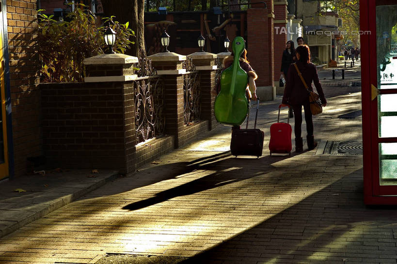 东方人,走,横图,室外,白天,正面,度假,美景,植物,城市风光,城市,道路,路,上海,中国,亚洲,握,阴影,服装,光线,拉杆箱,旅行箱,影子,景观,小路,吉他,乐器,弦乐器,交通,许多人,拿,拿着,休闲装,黄种人,娱乐,树,树木,衣服,绿色,阳光,自然,行李箱,箱子,一群人,享受,休闲,休闲服,景色,放松,握着,服饰,生长,成长,出差,申,弹拨弦鸣乐器,东亚,徐汇区,上海市,衡山路,中华人民共和国,沪,华东地区,男人,男性,年轻男性,年轻女性,女人,女性,亚洲人,步行,散步,走路,彩图,全身,旅行,弹拨弦乐器,shzxz1