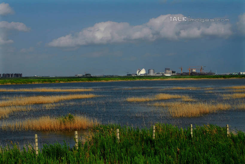 无人,高楼大厦,横图,室外,白天,正面,度假,草地,草坪,河流,美景,水,植物,城市风光,城市,大厦,建筑,摩天大楼,上海,中国,亚洲,阴影,光线,影子,河水,景观,水流,云,云朵,云彩,娱乐,建设,浦东,草,蓝色,绿色,白云,蓝天,天空,阳光,天,享受,休闲,景色,放松,晴朗,临港新城,申,浦东新区,东亚,上海市,中华人民共和国,沪,华东地区,晴空,彩图,大楼,高层建筑,高楼,摩天楼,shzxz1