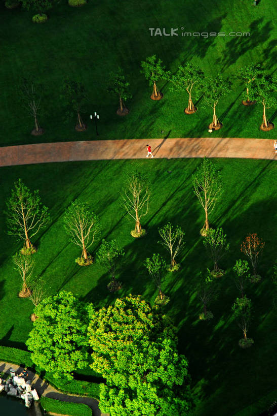 无人,竖图,俯视,航拍,室外,白天,度假,草地,草坪,美景,植物,城市风光,城市,道路,路,上海,中国,亚洲,阴影,光线,影子,景观,小路,交通,娱乐,浦东,草,树,树木,绿色,阳光,自然,享受,休闲,景色,放松,生长,成长,申,鸟瞰,陆家嘴,浦东新区,东亚,上海市,中华人民共和国,沪,华东地区,陆家嘴中心绿地,上海陆家嘴中心绿地,彩图,高角度拍摄,shzxz1