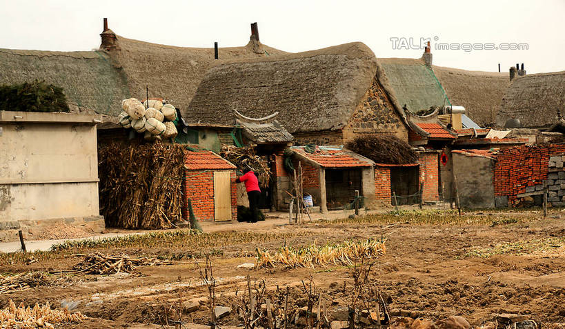 东方人,一个人,家,站,横图,室外,白天,度假,美景,植物,门,道路,路,中国,亚洲,仅一个女性,仅一个人,一堆,许多,阴影,堆叠,堆积,枯萎,光线,瓦片,影子,房屋,墙,屋檐,屋子,景观,泥土,土壤,云,云朵,小路,枯草,交通,云彩,注视,黄种人,娱乐,山东,楼房,檐,民居,民宅,墙壁,墙面,住宅,草,背面,黄色,蓝色,灰色,白云,蓝天,天空,阳光,门框,天,低头,扶,观察,看,站着,仅一个中年女性,享受,休闲,砖头,景色,放松,晴朗,观看,堆,察看,扶着,关注,东亚,山东省,威海,中华人民共和国,华东地区,鲁,威海市,柴禾,女人,女性,中年女性,亚洲人,晴空,站立,彩图,全身,房子,荣成,荣成市,shzyn1