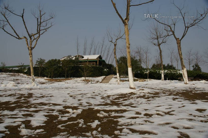 无人,家,横图,室外,白天,正面,旅游,度假,草地,草坪,美景,雪,植物,大雪,上海,中国,亚洲,阴影,光线,影子,房屋,屋子,积雪,景观,雪景,冬季,冬天,娱乐,楼房,住宅,草,树,树木,蓝色,绿色,蓝天,天空,阳光,自然,天,享受,休闲,景色,放松,寒冷,生长,晴朗,成长,申,自然风光,东亚,松江区,上海市,万里无云,中华人民共和国,沪,华东地区,严寒,晴空,晴空万里,彩图,房子,shzyn1