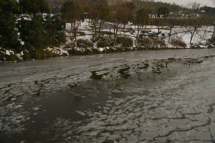 无人,横图,俯视,室外,白天,旅游,度假,河流,美景,树林,水,雪,植物,大雪,上海,中国,亚洲,阴影,光线,影子,冰,河水,积雪,景观,水流,雪景,冬季,冬天,娱乐,树,树木,绿色,阳光,自然,浮冰,享受,休闲,景色,放松,寒冷,生长,成长,申,冰冷,自然风光,东亚,松江区,上海市,中华人民共和国,沪,华东地区,严寒,冰凉,酷寒,凛冽,凛凛,极冷,流冰,浮冰块,彩图,高角度拍摄,shzyn1