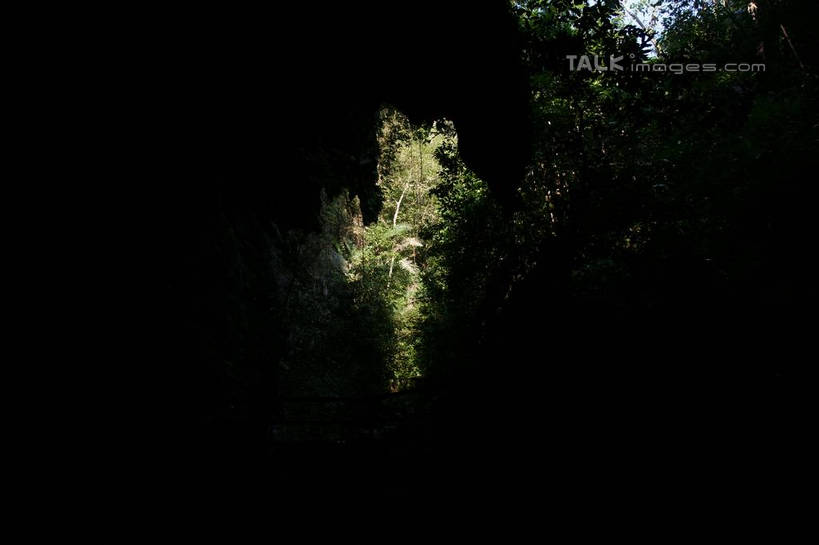 无人,横图,室外,白天,正面,旅游,度假,石头,美景,森林,树林,峡谷,植物,中国,亚洲,阴影,光线,石子,影子,洞,景观,山谷,娱乐,树,树木,绿色,阳光,自然,享受,休闲,景色,放松,洞穴,生长,成长,广西,岩层,自然风光,东亚,穴,广西壮族自治区,中华人民共和国,桂,华南地区,百色,百色市,石块,岩石,彩图,湖润镇,靖西县,通灵大峡谷,新灵村,shzyn1