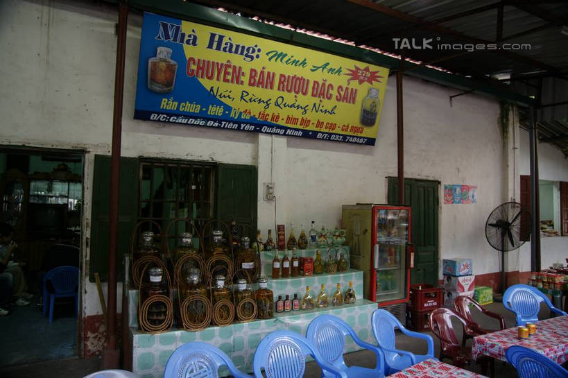 无人,家,商店,横图,室外,白天,正面,度假,美景,窗户,城市风光,城市,越南,亚洲,英文,标志,文字,字符,字母,房屋,墙,屋子,景观,娱乐,标识,商铺,楼房,玻璃窗,墙壁,墙面,住宅,享受,休闲,景色,放松,东南亚,英文字母,芒街,越南社会主义共和国,市肆,商号,广宁省,彩图,房子,店铺,芒街市,shzyn1