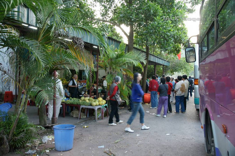 东方人,走,横图,室外,白天,正面,度假,美景,植物,城市风光,城市,道路,路,公共汽车,越南,亚洲,服装,景观,小路,巴士,公交车,交通,许多人,休闲装,黄种人,娱乐,车,树,树木,衣服,绿色,天空,自然,交通工具,天,一群人,享受,休闲,休闲服,景色,放松,服饰,东南亚,生长,成长,载具,芒街,越南社会主义共和国,广宁省,男人,男性,年轻男性,年轻女性,女人,女性,亚洲人,步行,散步,走路,半身,彩图,芒街市,shzyn1