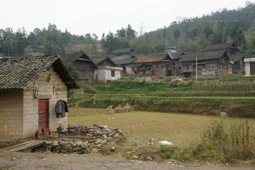 无人,家,横图,室外,白天,正面,旅游,度假,草地,草坪,美景,森林,山,山脉,树林,植物,中国,亚洲,房屋,屋子,景观,山峰,山峦,娱乐,楼房,住宅,草,树,树木,绿色,天空,自然,群山,天,享受,休闲,景色,放松,生长,成长,自然风光,东亚,贵州,贵州省,贵阳,中华人民共和国,省会,黔,西南地区,贵阳市,彩图,房子,shzyn1