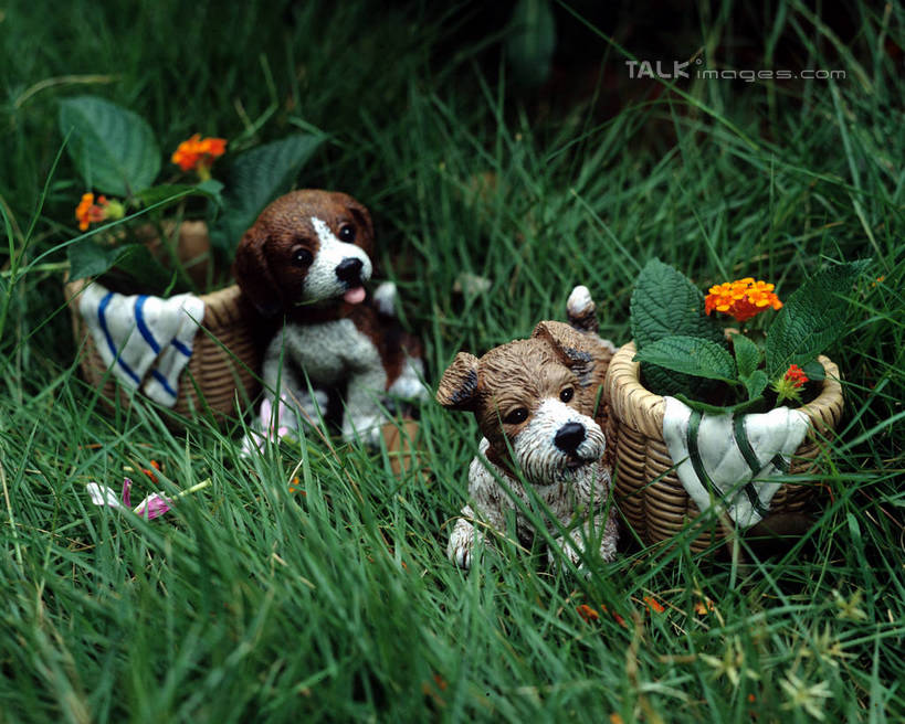 无人,站,交叉,横图,室外,白天,正面,草地,草坪,植物,竹子,宠物,狗,雕塑,阴影,竹制,艺术,装饰,盛开,编织,光线,雕刻,雕像,篮子,影子,猎兔犬,花蕾,注视,草,花,花瓣,花朵,鲜花,绿色,阳光,动物,竹篮,工艺品,花苞,花蕊,观察,看,站着,两只,可爱,比格犬,观看,纪念,竹条,交织,美术,察看,竹制品,关注,主题,陈列,忠诚,功能,美学,米格鲁猎兔犬,贝高狗,贝高犬,比格狗,猎兔狗,穿插,犬,站立,彩图,全身,szzm1