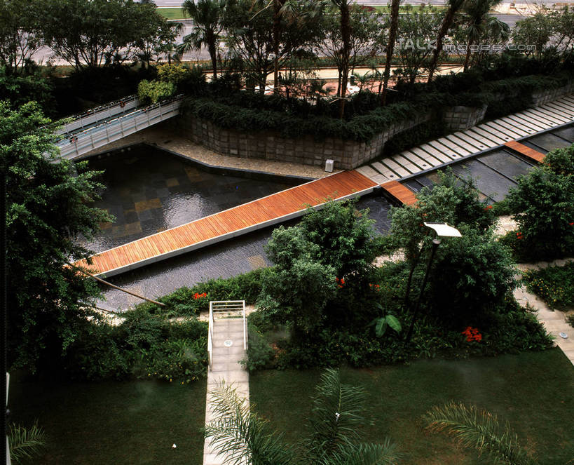 无人,横图,俯视,室外,白天,旅游,度假,草地,草坪,河流,美景,树林,水,植物,阴影,光线,木板,影子,亭子,河水,景观,水流,桥,木桥,娱乐,栈桥,草,树,树木,绿色,阳光,自然,凉亭,享受,休闲,景色,放松,生长,成长,人行桥,木板桥,自然风光,彩图,高角度拍摄,szzm1