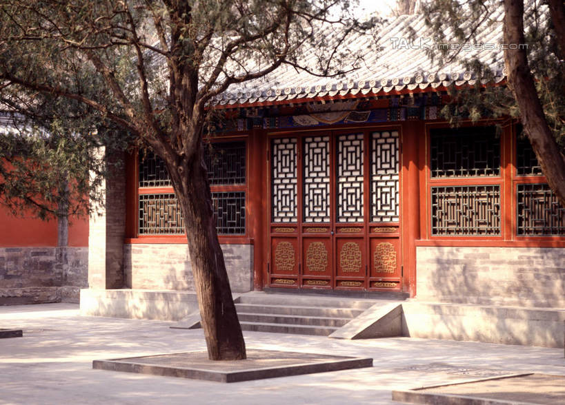 无人,家,故宫,横图,室外,白天,正面,旅游,度假,名胜古迹,植物,门,标志建筑,地标,建筑,北京,中国,亚洲,阴影,遗迹,光线,影子,房屋,屋子,院子,枝条,首都,古迹,文物,娱乐,建设,古建筑,楼房,住宅,树,树木,树枝,绿色,天空,阳光,自然,门框,紫禁城,天,享受,休闲,旅游胜地,放松,生长,成长,四合院,古文明,东亚,中华人民共和国,东城区,北京市,京,北平,华北地区,虬枝,枝杈,彩图,故宫博物院,房子,北京紫禁城,北京故宫,szzm1