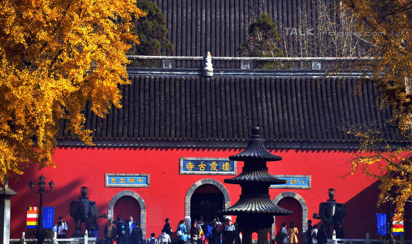 东方人,寺庙,走,横图,室外,白天,正面,旅游,度假,名胜古迹,秋季,标志建筑,地标,建筑,哺乳动物,大象,野生动物,雕塑,南京,中国,亚洲,行人,游客,游人,阴影,节日,对称,遗迹,艺术,装饰,光线,标志,雕刻,雕像,瓦片,文字,香炉,影子,字符,墙,屋顶,屋檐,许多人,燃烧,顶棚,黄种人,古迹,文化,文物,娱乐,标识,建设,古建筑,江苏,檐,路人,旅客,墙壁,墙面,红色,阳光,动物,香火,工艺品,庙宇,祈祷,一群人,享受,休闲,健康,汉字,旅游胜地,放松,许愿,宗教,信仰,纪念,祈求,美术,祭奠,祭祀,中文,主题,祭坛,陈列,古文明,东亚,江苏省,南京市,中华人民共和国,华东地区,苏,省会,功能,美学,国文,华文,两尊,敬拜,过客,栖霞寺,栖霞山,平安,男人,男性,年轻男性,年轻女性,女人,女性,亚洲人,石头城,秋,秋天,象,步行,散步,走路,半身,彩图,庙,寺,yzdzj1