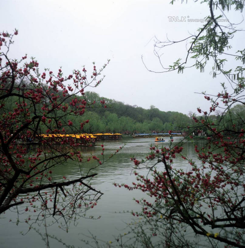 无人,竖图,室外,白天,正面,旅游,度假,河流,美景,水,植物,船,中国,亚洲,一排,许多,阴影,整齐,盛开,光线,影子,河水,景观,水流,梅花,花蕾,娱乐,江苏,苏州,花,花瓣,花朵,鲜花,树,树木,古镇,排列,红色,蓝色,绿色,蓝天,天空,阳光,自然,交通工具,天,花苞,花蕊,享受,休闲,景色,放松,水乡,生长,成长,队列,自然风光,观光船,东亚,江苏省,苏州市,中华人民共和国,华东地区,苏,甪直,甪直古镇,桥都,神州水乡第一镇,彩图,yzdzj1