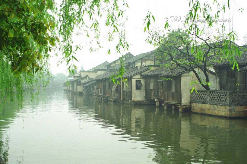 无人,家,横图,室外,白天,正面,旅游,度假,河流,美景,水,植物,中国,亚洲,许多,阴影,光线,影子,房屋,屋子,河水,景观,水流,娱乐,浙江,民居,住宅,树,树木,浙江省,蓝色,绿色,倒影,蓝天,天空,阳光,自然,天,享受,休闲,景色,放松,水乡,生长,成长,自然风光,东亚,乌镇,中华人民共和国,华东地区,浙,嘉兴,嘉兴市,桐乡市,彩图,房子,yzdzj1