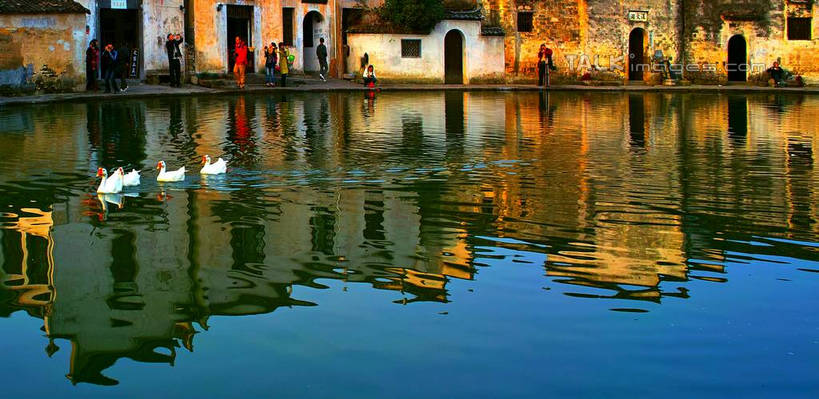 东方人,家,站,坐,横图,室外,白天,正面,旅游,度假,湖,湖泊,黄山,名胜古迹,水,标志建筑,地标,建筑,鹅,相机,宏村,中国,亚洲,四只,握,阴影,遗迹,反射,影子,房屋,屋子,湖面,水流,水面,建筑群,许多人,拿,拿着,黄种人,古迹,文物,娱乐,建设,古建筑,家禽,民居,住宅,拍照,白色,倒影,动物,数码相机,湖水,站着,一群人,享受,休闲,旅游胜地,家畜,放松,握着,摄影,牲畜,游动,古文明,东亚,安徽,安徽省,黄山市,中华人民共和国,华东地区,皖,男人,男性,年轻男性,年轻女性,女人,女性,亚洲人,照相机,站立,坐着,彩图,全身,照相,房子,yzdzj1