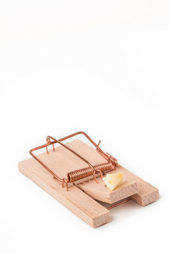 奶酪,无人,竖图,俯视,室内,特写,白天,白色背景,静物,一块,阴影,反射,影子,干酪,起司,芝士,营养,一个,乳酪,诱惑,摄影,影棚,单个,捕鼠器,勾引,乳制品,毁灭,发酵,补鼠器,灭鼠器,歼灭,灭鼠,消灭,引诱,彩图,高角度拍摄,影棚拍摄,拍摄,清除