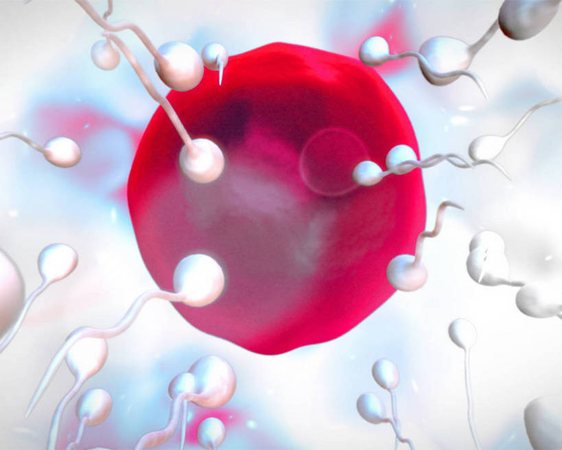 无人,横图,插画,室内,白天,白色背景,正面,数码,科技,微生物,许多,阴影,科学,网络,医学,细胞,很多,高光,几何,计算机图形,合成,图画,画,排列,一个,红色,白色,精子,单个,电脑合成图,数码合成图,生物学,合成图,卵子,漫画,卵细胞,写实,具体,具象,摆列,生殖细胞,单倍体生殖细胞,雄配子,雄性生殖细胞,雄性细胞,彩图,布列,分列