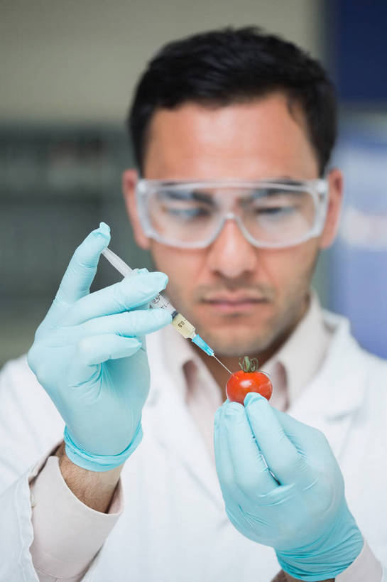 西方人,一个人,科学家,站,竖图,室内,白天,正面,安全,蔬菜,西红柿,小番茄,欧洲,欧洲人,仅一个男性,仅一个人,一副,握,阴影,服装,朦胧,模糊,新鲜,反射,眼镜,影子,实验室,研究室,食品,防护,注视,食物,仅一个年轻男性,一个,衣服,白色,手套,低头,观察,看,站着,橡胶,针管,针筒,握着,注射,服饰,有机食品,绿色食品,单个,观看,护目镜,保护,察看,医疗,医疗设备,注射器,衣着,科研人员,白大褂,穿着,关注,保险,研究者,橡胶手套,橡胶制品,试验室,实验服,科学研究者,医用手套,保全,周全,安稳,安定,安全防护眼镜,垂头,衣饰,小西红柿,樱桃小番茄,珍珠小番茄,平安,男人,男性,年轻男性,白种人,科学工作者,樱桃番茄,圣女果,番茄,站立,半身,彩图,实验衣,防护眼镜