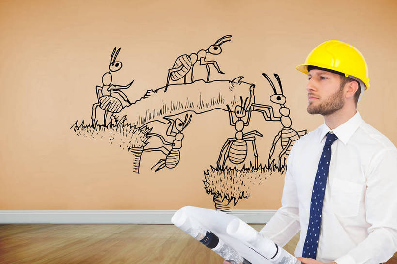 西方人,胡须,一个人,无人,商务人士,工程师,建筑师,商务男性,站,横图,室内,白天,正面,衬衫,数码,科技,草地,草坪,植物,地板,野生动物,帽子,欧洲,欧洲人,仅一个男性,仅一个人,握,阴影,套装,反射,网络,昆虫,蚂蚁,头盔,图纸,影子,墙,树桩,领带,设计图,地面,高光,几何,计算机图形,合成,注视,木地板,墙壁,墙面,草,树,树干,仅一个年轻男性,黄色,绿色,动物,安全帽,观察,看,站着,橙色,木桩,可爱,握着,活泼,观看,一份,电脑合成图,数码合成图,察看,象征,庄重,合成图,关注,商务装,身份,蚁,玄驹,工程图,草图,蓝图,益虫,工薪阶层,写实,具体,具象,正式,地位,一顶,管理,建筑工程师,男人,男性,年轻男性,白种人,胡子,络腮胡,白领,上班族,设计,站立,半身,彩图,衬衣,画则师,图则师,则师,评估,人员