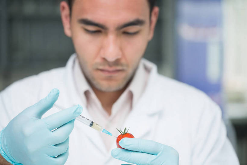 西方人,脸,头,脸颊,手,一个人,科学家,站,横图,室内,白天,正面,西红柿,小番茄,水果,欧洲,欧洲人,双手,仅一个男性,仅一个人,握,阴影,服装,朦胧,模糊,新鲜,反射,影子,实验室,研究室,生食,食品,果实,拿,拿着,注视,肩膀,食物,仅一个年轻男性,一个,衣服,蓝色,白色,手套,低头,观察,看,站着,手部,橡胶,针管,针筒,握着,注射,服饰,有机食品,绿色食品,单个,观看,察看,医疗,医疗设备,注射器,衣着,科研人员,白大褂,穿着,关注,研究者,橡胶手套,橡胶制品,试验室,实验服,科学研究者,医用手套,垂头,衣饰,小西红柿,樱桃小番茄,珍珠小番茄,男人,男性,年轻男性,白种人,头部,脸部,脸蛋,面部,科学工作者,樱桃番茄,圣女果,番茄,站立,半身,彩图,实验衣