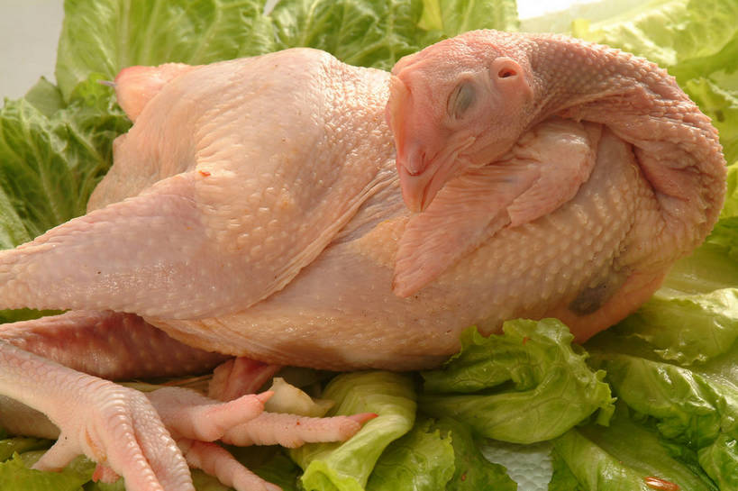 无人,横图,俯视,室内,特写,白天,餐桌,桌子,蔬菜,叶子,阴影,新鲜,反射,影子,生菜,莴苣,鸡肉,肉,食品,绿叶,肉类,食物,一只,粉色,绿色,嫩叶,有机食品,绿色食品,餐台,肉食,春菜,鹅仔菜,莴仔菜,千金菜,叶用莴苣,叶,叶片,彩图,高角度拍摄,白条鸡,光鸡,shjb1