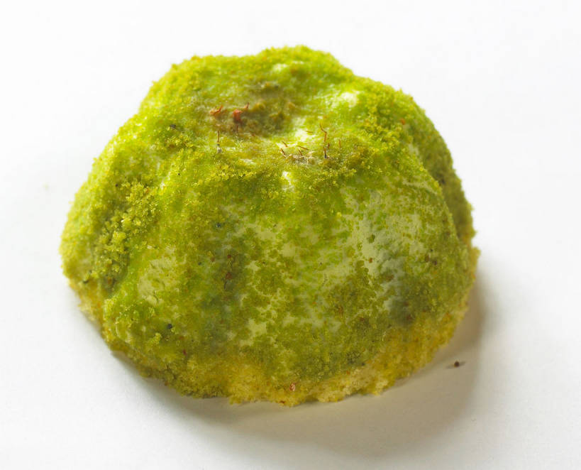 点心,无人,横图,俯视,室内,特写,白天,白色背景,下午茶,餐桌,桌子,一块,阴影,反射,影子,食品,食物,糕点,摄影,影棚,餐台,抹茶蛋糕,摄影棚,彩图,高角度拍摄,影棚拍摄,拍摄,蛋糕,shjb1