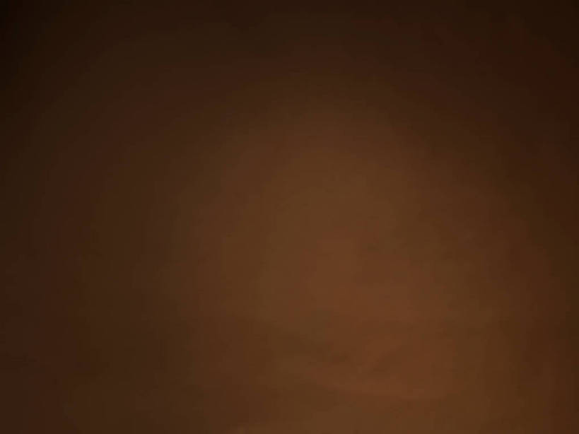 无人,横图,室内,特写,白天,正面,静物,丰富,褐色,成熟,摄影,影棚,褐色背景,摄影棚,谦让,随和,彩图,影棚拍摄,拍摄,shjb1