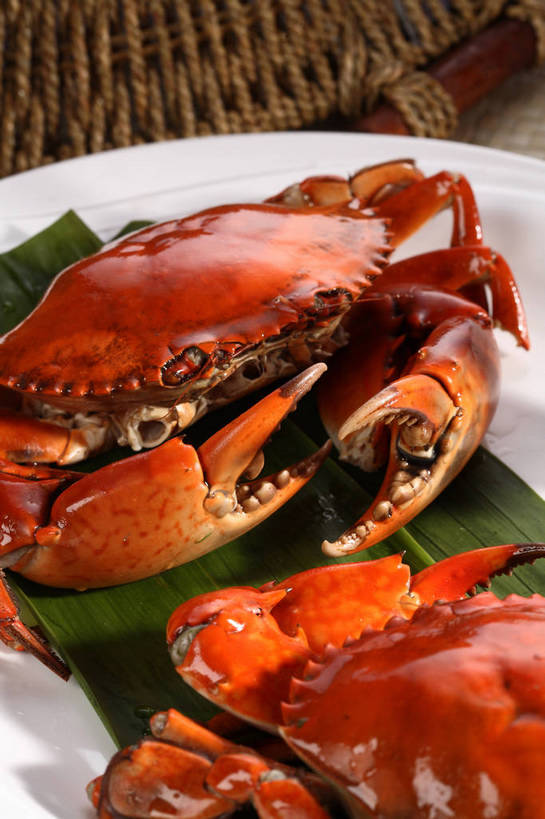 蟹,无人,竖图,俯视,室内,特写,白天,烹饪,中餐,餐桌,桌子,餐具,叶子,阴影,反射,螃蟹,碟子,盘,影子,粽叶,料理,食品,绿叶,菜肴,美食,食物,一个,红色,白色,盘子,碟,两只,中式,嫩叶,佳肴,单个,餐台,中华料理,清蒸,箬叶,芦苇叶,甲壳动物,叶,叶片,彩图,高角度拍摄,清蒸菜,清蒸蟹,shjb1