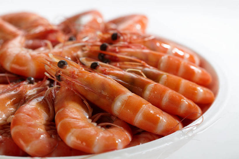 海鲜,无人,横图,俯视,室内,特写,白天,烹饪,中餐,餐桌,桌子,一堆,许多,堆叠,堆积,环绕,围绕,陶瓷,虾,料理,食品,陶瓷制品,很多,环抱,水产,菜肴,美食,海洋生物,食物,一个,白色,容器,碗,中式,佳肴,单个,餐台,中华料理,储藏,堆,储存,水生动物,海产品,水生物,海底动物,萦绕,彩图,高角度拍摄,贮存,shjb1,盐水虾