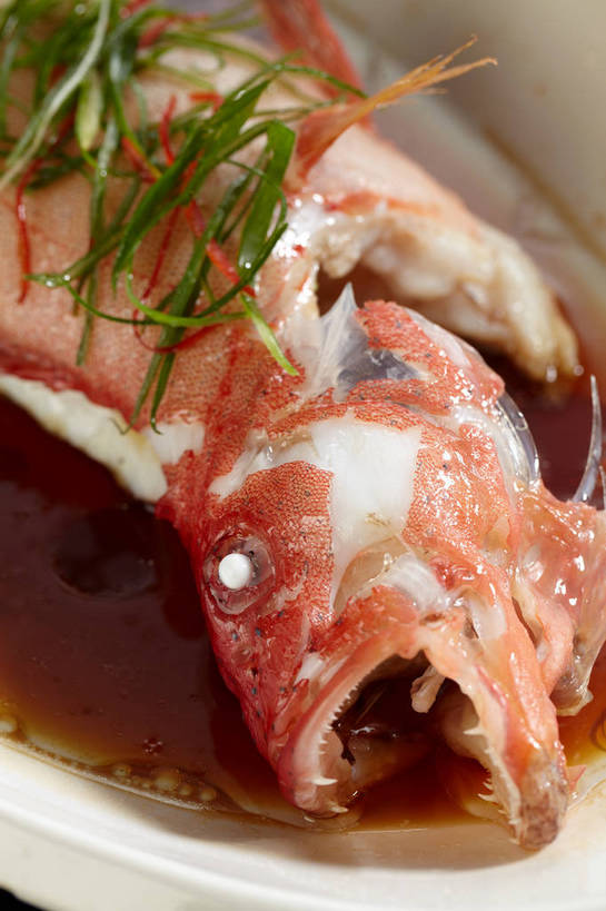 海鲜,无人,竖图,俯视,室内,特写,白天,烹饪,中餐,餐桌,桌子,姜,餐具,朦胧,模糊,鱼,碟子,盘,陶瓷,葱,青葱,调料,肉,香料,鱼肉,料理,食品,陶瓷制品,调味品,鱼头,调味料,酱油,水产,菜肴,美食,肉类,鱼类,海洋生物,食物,白色,盘子,碟,中式,佳肴,餐台,中华料理,水生动物,海产品,红笛鲷,止咳,笛鲷,水生物,肉食,海底动物,蒸菜,止痛,解毒,大红鱼,赤鳍笛鲷,红鳍笛鲷,红鱼,发汗,温肺,温胃,行气,止呕,百辣云,豉油,生姜,老姜,彩图,高角度拍摄,清蒸鱼,散寒,shjb1,清蒸红鱼