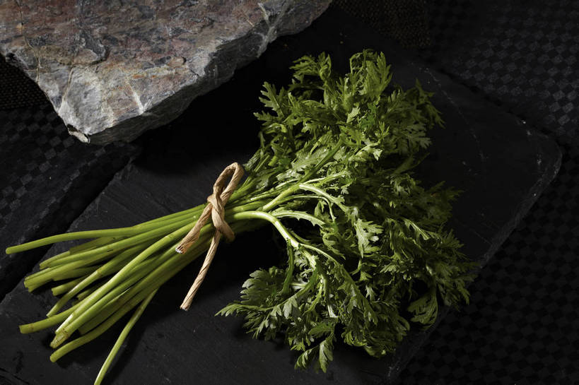 无人,横图,俯视,室内,特写,白天,石头,餐桌,桌子,蔬菜,叶子,一堆,许多,堆叠,堆积,新鲜,石子,食品,绿叶,蓬蒿,很多,食物,绿色,绳子,嫩叶,有机食品,绿色食品,餐台,堆,捆绑,绳索,茼蒿,春菊,茼蒿菜,绑缚,叶,叶片,石块,岩石,彩图,高角度拍摄,shjb1