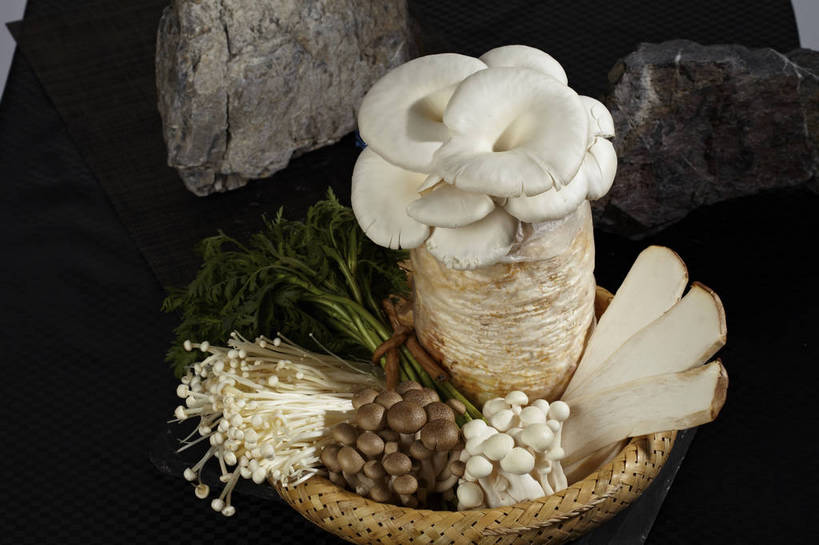 无人,交叉,横图,俯视,室内,特写,白天,烹饪,中餐,石头,餐桌,桌子,竹子,蔬菜,一堆,许多,切开,堆叠,堆积,竹制,新鲜,编织,篮子,石子,金针菇,菌菇,料理,食品,蓬蒿,很多,菌类,火锅,平菇,菜肴,美食,食物,一个,绳子,竹篮,切,中式,食用菌,佳肴,有机食品,绿色食品,单个,餐台,中华料理,竹条,堆,捆绑,绳索,交织,竹制品,真菌,剖面,切面,茼蒿,姬菇,春菊,茼蒿菜,构菌,金菇,毛柄金钱菌,银针菇,智力菇,绑缚,糙皮侧耳,侧耳,黑牡丹菇,穿插,杏鲍菇,刺芹侧耳,石块,岩石,彩图,高角度拍摄,shjb1