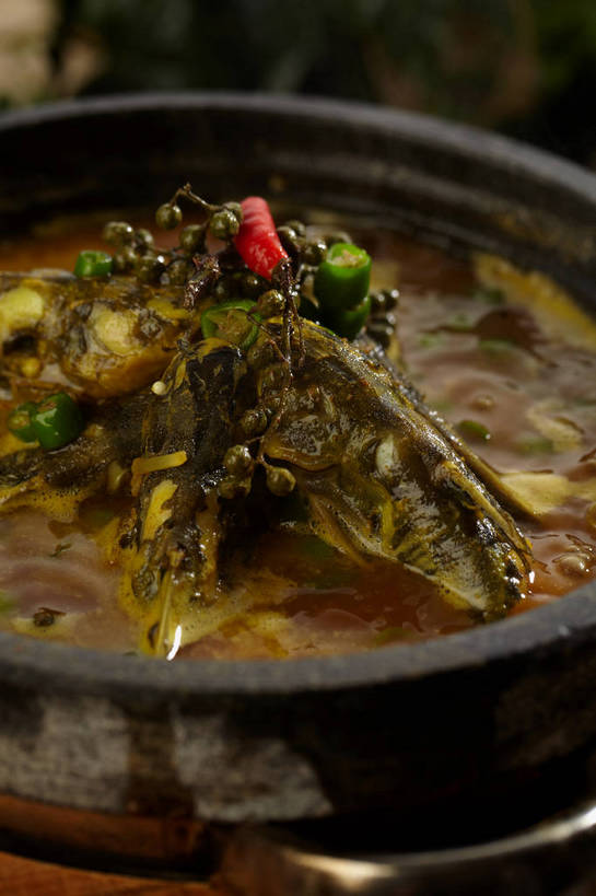 无人,竖图,俯视,室内,特写,白天,烹饪,中餐,餐桌,桌子,辣椒,蔬菜,厨具,叶子,朦胧,模糊,新鲜,锅子,石锅,青椒,调味,肉,香料,鱼肉,佐料,料理,食品,绿叶,锅,菜肴,美食,肉类,食物,一个,红色,绿色,中式,嫩叶,佳肴,有机食品,绿色食品,单个,餐台,锅具,中华料理,花椒,山椒,配料,肉食,烹饪用具,辣角,红海椒,大椒,辣虎,广椒,作料,湖南菜,湘菜,大花椒,狗椒,红花椒,青花椒,蜀椒,香椒,叶,叶片,烹调用具,辣子,红辣椒,红椒,海椒,番椒,烹调,彩图,高角度拍摄,麻椒,shjb1,金福鱼,石锅鱼