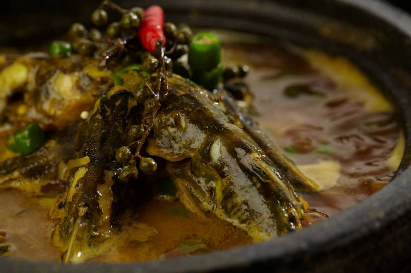 无人,横图,俯视,室内,特写,白天,烹饪,中餐,辣椒,蔬菜,厨具,朦胧,模糊,新鲜,锅子,石锅,青椒,调味,肉,香料,鱼肉,佐料,料理,食品,锅,菜肴,美食,肉类,食物,一个,红色,绿色,中式,佳肴,有机食品,绿色食品,单个,锅具,中华料理,花椒,山椒,配料,肉食,烹饪用具,辣角,红海椒,大椒,辣虎,广椒,作料,湖南菜,湘菜,大花椒,狗椒,红花椒,青花椒,蜀椒,香椒,烹调用具,辣子,红辣椒,红椒,海椒,番椒,烹调,彩图,高角度拍摄,麻椒,shjb1,金福鱼,石锅鱼