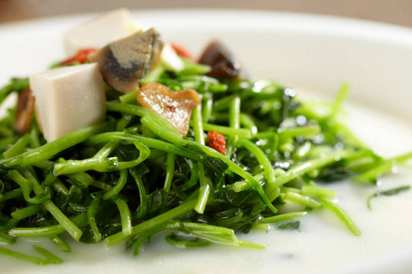 豆腐,无人,横图,俯视,室内,特写,白天,烹饪,西餐,植物,蔬菜,叶子,一堆,许多,堆叠,堆积,新鲜,陶瓷,肉,蔬菜汤,汤,料理,食品,果实,绿叶,草药,药草,陶瓷制品,很多,豆苗,菜肴,美食,肉类,中药,食物,一个,红色,绿色,白色,容器,碗,嫩叶,西式,佳肴,有机食品,绿色食品,单个,储藏,堆,枸杞子,枸杞,豆制品,储存,药材,中草药,豌豆苗,肉食,中药材,本草,豌豆藤,苟起子,枸杞豆,枸杞果,血杞子,羹汤,叶,叶片,彩图,高角度拍摄,贮存,shjb1,上汤豆苗