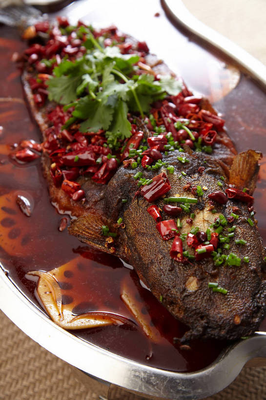 无人,竖图,俯视,室内,特写,白天,烹饪,烧烤,中餐,餐桌,桌子,鲶鱼,辣椒,蔬菜,餐具,金属制品,切开,新鲜,金属,鱼,碟子,盘,葱,青葱,香菜,烤鱼,肉,鱼肉,料理,食品,藕,菜肴,美食,肉类,鱼类,食物,一个,盘子,碟,切,中式,佳肴,有机食品,绿色食品,单个,餐台,中华料理,水生动物,川菜,水生物,剖面,肉食,切面,辣角,红海椒,大椒,辣虎,广椒,胡菜,香荽,原荽,园荽,芫荽,胡荽,莞荽,芫茜,芫蓿,莚葛草,莚荽菜,鲇鱼,四川菜,莲藕,辣子,红辣椒,海椒,番椒,彩图,高角度拍摄,淡水生物,菜藕,光旁,果藕,荷藕,湖藕,藕节,水鞭蓉,shjb1,烤鲇鱼