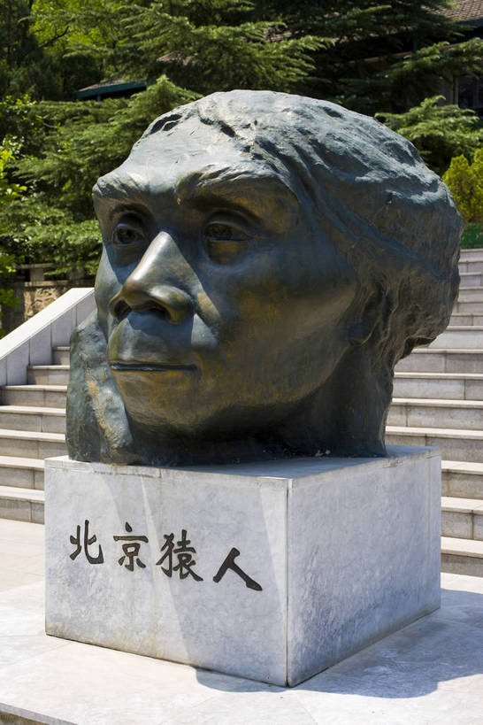 博物馆,竖图,彩色,旅游,雕塑,北京,中国,亚洲,遗迹,雕刻,塑像,纪念馆,首都,古迹,历史,遗址,古代,竖,摄影,头像,文明,中国文化,东亚,首府,中华人民共和国,古远,灭尽,灭绝,猿人,直立人,彩图,旅行,传统文化,周口店,北京人,北京猿人,北京直立人,bj174