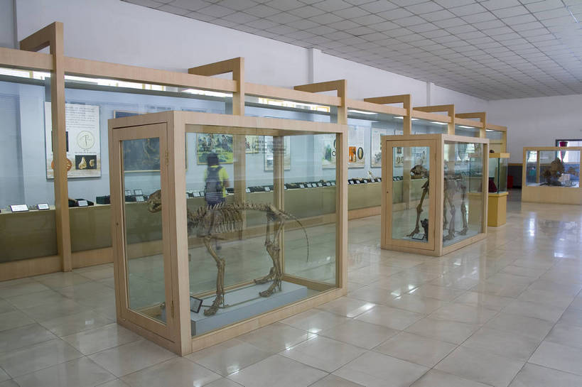 横图,彩色,旅游,建筑,北京,中国,亚洲,遗迹,化石,首都,历史,文物,展品,遗址,建筑物,古代,展示,摄影,展览,古物,中国文化,陈列,东亚,中华人民共和国,古远,灭尽,灭绝,猿人,直立人,古代文明,彩图,旅行,传统文化,周口店,bj174