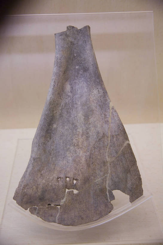 竖图,彩色,室内,上海,中国,亚洲,文化遗产,古典,历史,文化,文物,古代,工艺品,摄影,古董,古物,中国文化,甲骨文,古玩,东亚,中华人民共和国,古远,古代文明,传统文化,bj174