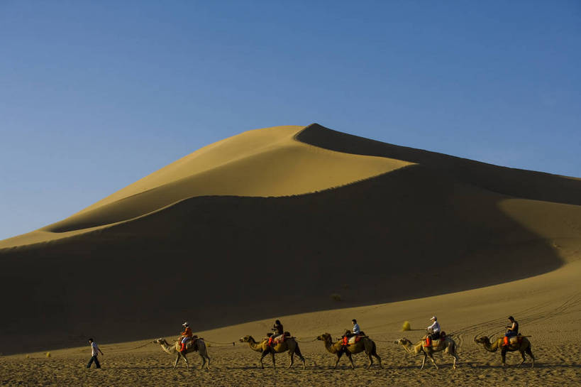 横图,彩色,美景,沙漠,山,野生动物,敦煌,中国,亚洲,许多,黄沙,沙子,线条,景观,辽阔,沙丘,很多,骆驼,黄色,自然,动物,广阔,金色,石壁,景色,运输,摄影,地理,环境,山区,中国文化,自然风光,东亚,甘肃,甘肃省,沙漠之舟,中华人民共和国,西北地区,甘,酒泉,酒泉市,平滑,原驼,苍凉,敦煌鸣沙山,大漠,彩图,鸣沙山,bj174