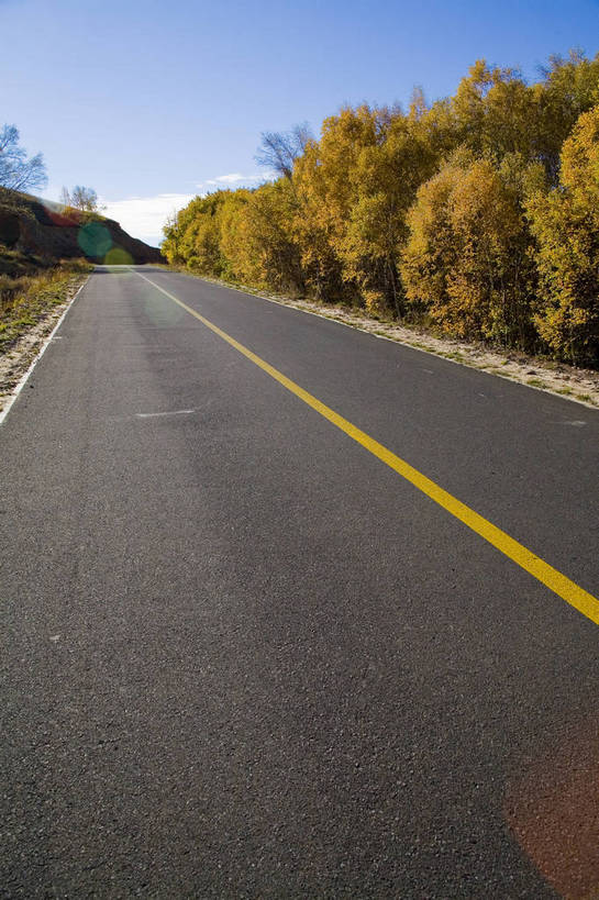 竖图,室外,白天,草地,草原,草坪,秋季,植物,公路,叶子,坝上,中国,亚洲,清澈,高原,干草,枯叶,落叶,草,树,黄色,绿色,天空,阳光,天,橙色,金色,旅游胜地,摄影,东亚,内蒙古,中华人民共和国,明澈,清彻,清亮,叶,叶片,秋,秋天,彩图,灌木丛,草甸,bj174