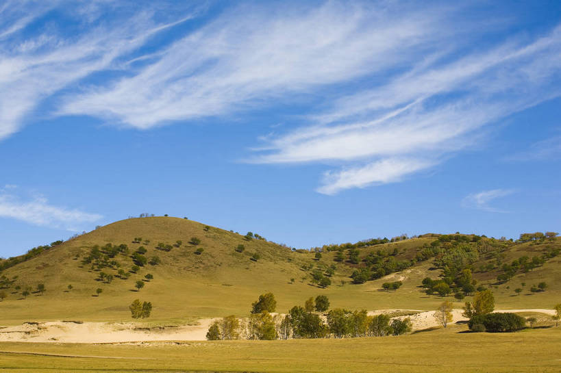横图,彩色,室外,白天,旅游,树林,坝上,中国,亚洲,高原,旷野,天空,自然,平原,景色,摄影,自然风光,东亚,内蒙古,中华人民共和国,秋天,彩图,旅行,bj174