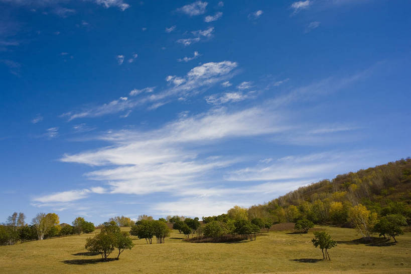 横图,彩色,室外,白天,旅游,树林,坝上,中国,亚洲,高原,旷野,天空,自然,平原,景色,摄影,自然风光,东亚,内蒙古,中华人民共和国,秋天,彩图,旅行,bj174